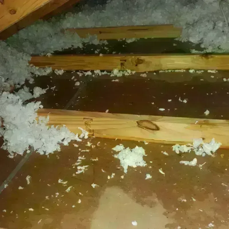 Attic Water Damage in Monticello, GA